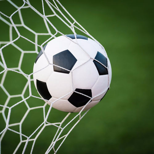 Choosing the Best Soccer Net for Your Goal